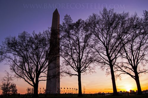 Sunset over the Washington Monument in Washington DC